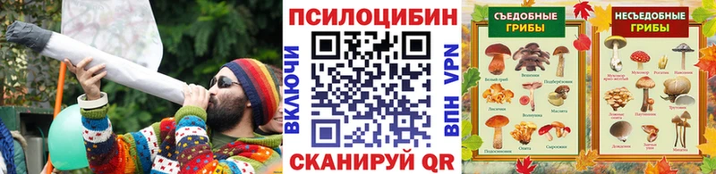 Псилоцибиновые грибы Psilocybe  Купить закладки  Почеп 